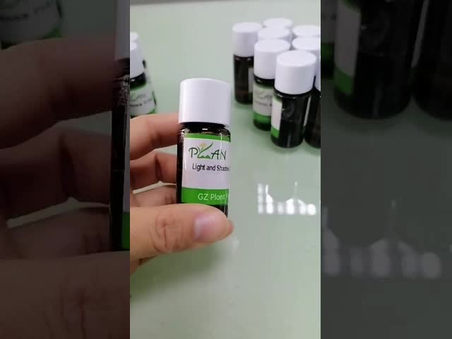 Perfume Fragrance Wholesale Sorrel & Lemon Thyme Fragrance Essence  For Daily Using Perfume Making