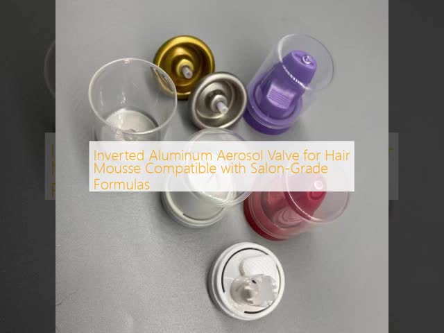 Inverted Aluminum Aerosol Valve for Hair Mousse Salon-Grade Formula Compatible