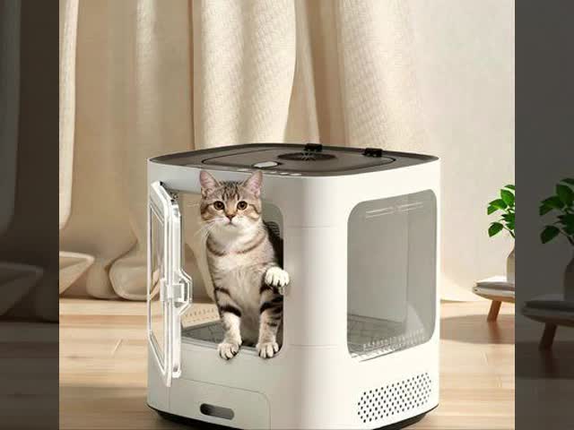 Automatic Plastic Pet Drying Box with Transparent Door Temperature Control Ventilated Design Quiet Operation Easy to Clean Safe
