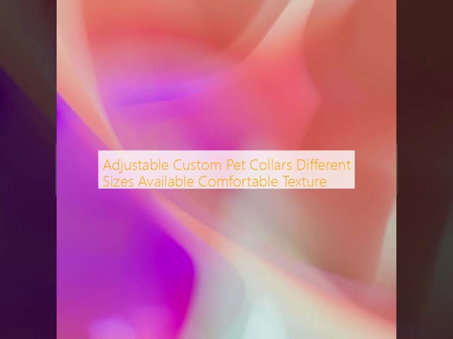 Adjustable Custom Pet Collars Different Sizes Available Comfortable Texture