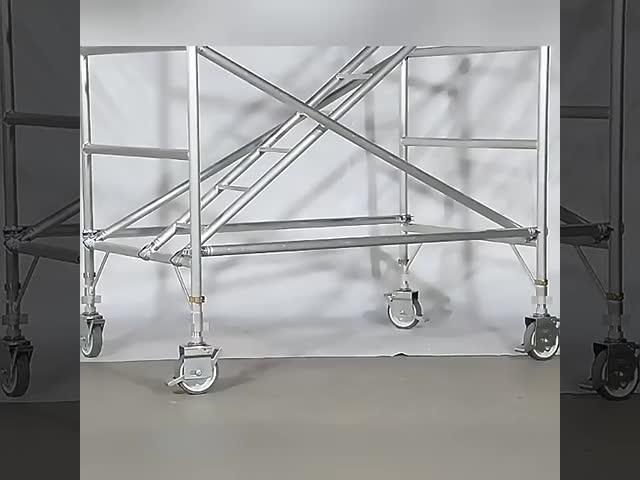 Custom-Built Multi-Directional Ring Lock Upright 2000mm Length Q355B Grade Custom for Your Specific Support Needs