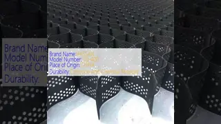 Rinforzo del terreno Geocell in HDPE