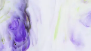 Durable Beautiful Cute Dog Collars , Flower Dog Collar With Safety Buckle