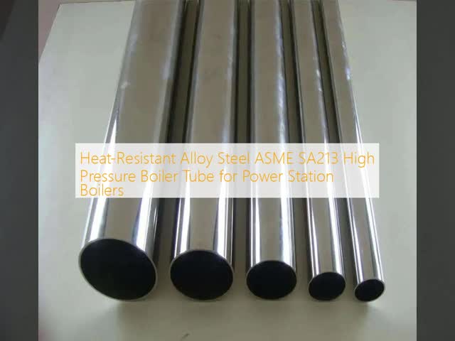 Heat-Resistant Alloy Steel ASME SA213 High Pressure Boiler Tube for Power Station Boilers