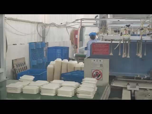 Biodegradable Sugarcane Pulp Tableware Production Line (PFAS-Free)