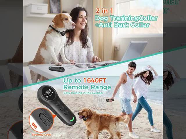 Long Range Smart Dog Training Collar Anti-Bark Remote Control IPX7 Waterproof Rechargeable Eco-Friendly Cute Fashion Plastic