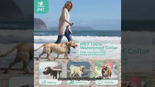 Long Range Smart Dog Training Collar Anti-Bark Remote Control IPX7 Waterproof Rechargeable Eco-Friendly Cute Fashion Plastic