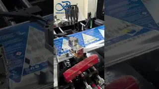 ​4-in-1 Laundry Pods Triple-Seal Packaging Bags - Custom Printing & Moisture Barrier