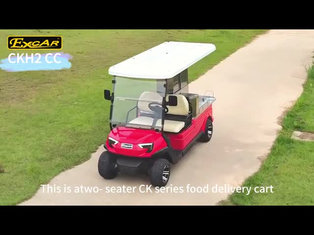 205 / 50-10 Tyre Electric Utility Carts With Italy Graziano Axle