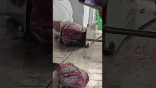 China 200KG/H Small Type Vegetable Fruit Washing Machine 304 Stainless Steel supplier