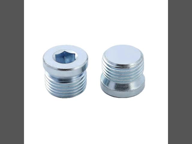 DIN906 Carbon Steel Hexagon Socket Pipe Plug
