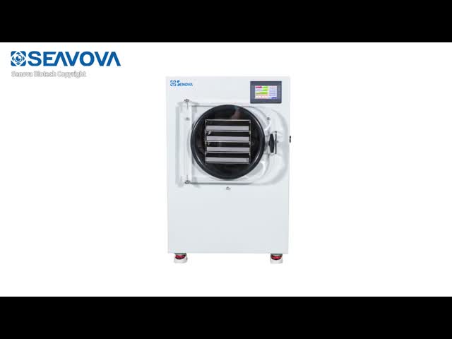 10Kg Commercial Freeze Dry Machine For Fruit Vegetable Meat
