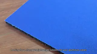 Double Color 7mm 10mm Smooth PP Honeycomb Board For Aluminum Case