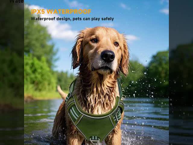 Automatic AI Intelligent Recognition Dog Training Collar IPX7 Waterproof Rechargeable Battery >20 Hours Bark Control Barking