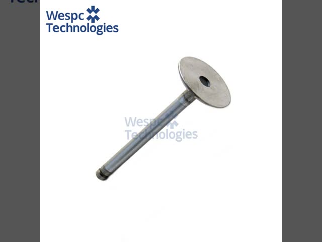 WESPC Intake Valve 3142L051/905-026 for Perkins 1004 1006 6.354 diesel engines
