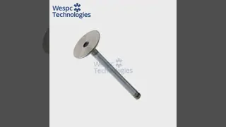 WESPC Intake Valve 3142L051/905-026 for Perkins 1004 1006 6.354 diesel engines