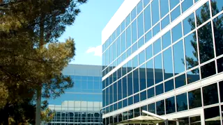 Premium Pet Urns For Cherished Memories