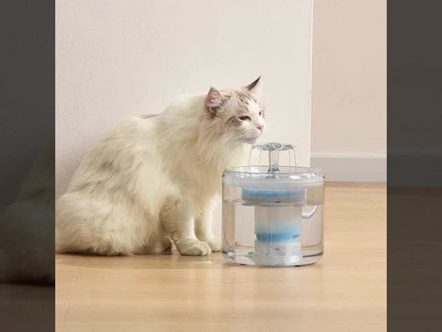2.2L Eco-Friendly Automatic Portable Cat Dog Water Feeder ABS/PC Pet Fountain with Charge Source Cute Style