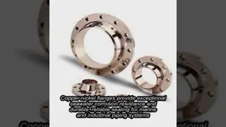 Copper-Nickel Flanges