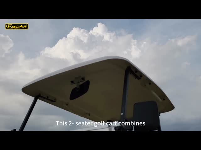 2-Seat Electric Golf Buggy with 30% Climbing Ability 48V Lithium Battery Range For 50-70 km