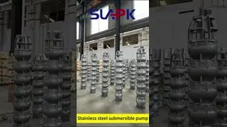 Electric Motor Seawater Transfer Pump Vertical or Horizontal Submersible Installation Engineered for Seawater Handling Solutions