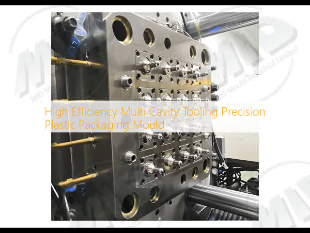 High Efficiency Multi Cavity Tooling Precision Plastic Packaging Mould