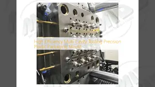 High Efficiency Multi Cavity Tooling Precision Plastic Packaging Mould