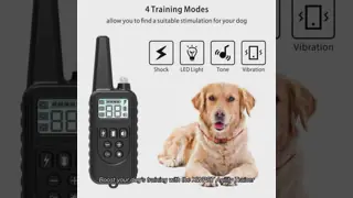 Precision Dog Trainer Multi-Functional Hand-Held Wireless Electronic Fence Forbidden Zone Waterproof IP67 Pet Training Supplies