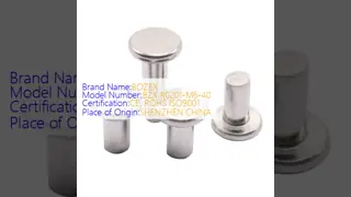 Pequenos tacos de madeira ou osso A forma mais antiga de 304 aço inoxidável Rivets sólidos de cabeça plana