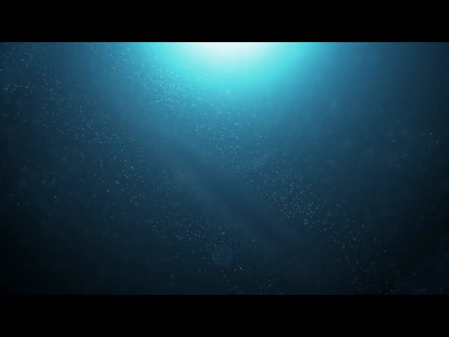 stainless steel coil sheet