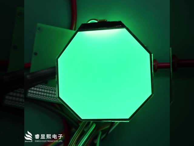 FSTN/Transflective Segment LCD Display with 6 O'Clock Viewing Angle and AIP31033E IC for Control Panels