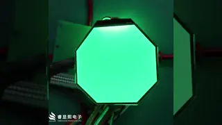 FSTN/Transflective Segment LCD Display with 6 O'Clock Viewing Angle and AIP31033E IC for Control Panels