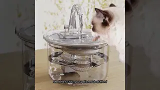 Automatic 2.2L Transparent Pet Water Dispenser New Design Eco-Friendly Plastic Artifact Filter Stylish Charging Source for Dogs