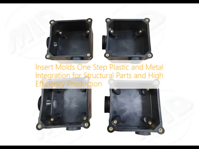 Insert Molds One Step Plastic and Metal Integration for Structural Parts and High Efficiency Production