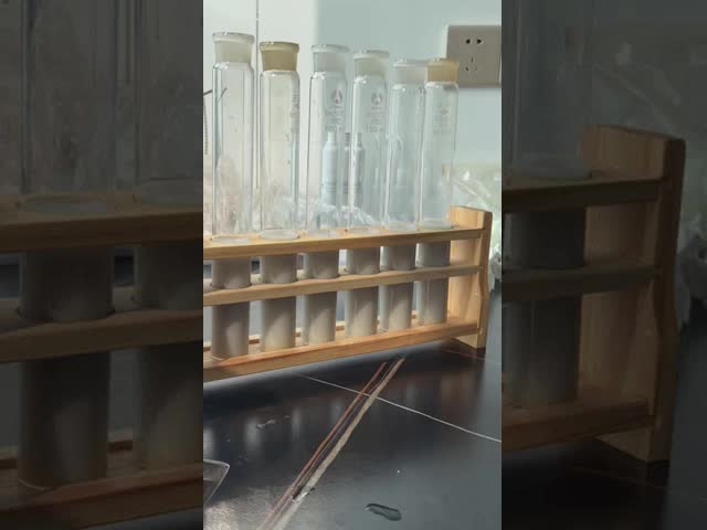 Polyacrylamide PAM Cyanobacteria Wastewater Treatment Chemical PolyAcrylamide Anionic Polymer