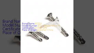 304 roestvrijstalen zelfkoppelende schroeven met Phillips-aandrijving voor bevestiging in gebouwen, spoorwegen en machines