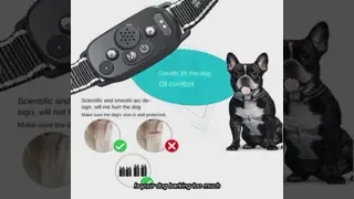 2025 New Generation 2.0 System Smart Color Screen Multifunctional Bark Stopper Ultrasonic Dog Collar Eco-friendly Plastic