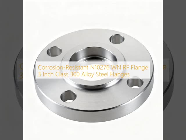 Corrosion-Resistant N10276 WN RF Flange 3 Inch Class 300 Alloy Steel Flanges
