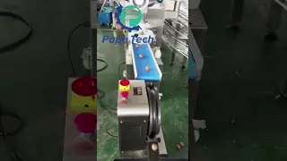 Papa Machine Oatmeal Protein Ball Production Line