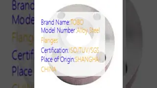 ASTM N10276 RF Weld Neck Flange 3