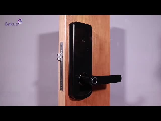 Smart Door Lock CE Fire Rated EN1634 1 EN14846 Black and Silver Secure Access Control System