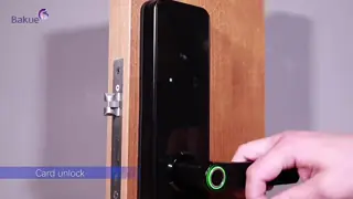 Smart Door Lock CE Fire Rated EN1634 1 EN14846 Black and Silver Secure Access Control System