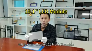 10.1-inch LVDS Interface LCD Panel with 1280x800 Resolution and 400 Nits Brightness for Industrial Use