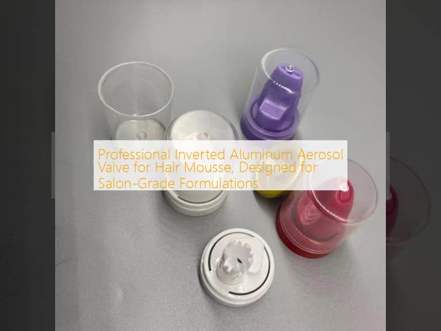 Professional Inverted Aluminum Aerosol Valve for 360° Dispensing Hair Mousse with Corrosion-Resistant and Bag-on-Valve Ready Design