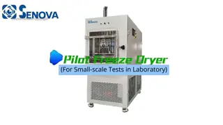 10Kg Pilot Freeze Dryer PLC Touch Screen Laboratory Freeze Dryers