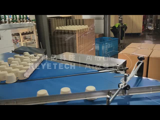 Paper Cup AI Vision Inspection Machine 100-300pcs/min High Speed 99.5% Accuracy 0.1mm Precision Plastic Cup Paper Plastic IML Cup