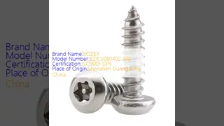 Parafusos autorroscantes de aço inoxidável 304 com cabeça arredondada Torx à prova de violação