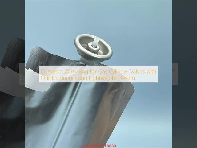 Compact Valve-Mounted Carry Bag for Portable Gas Cylinders with Lightweight Quick-Connect Design