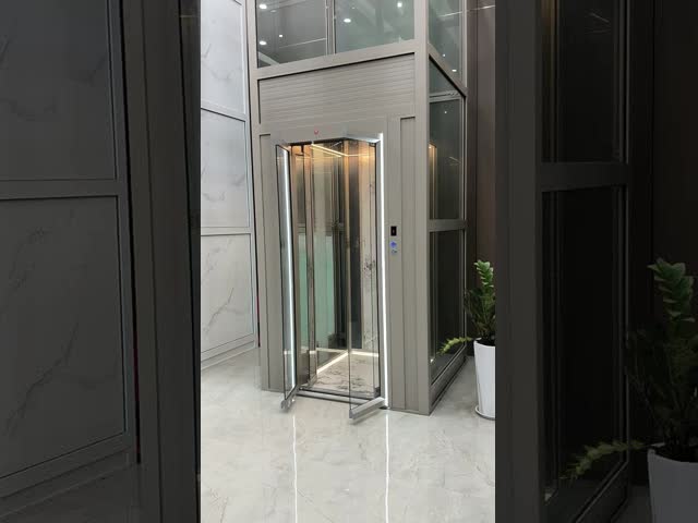 Stainless Steel 304 Single Phase 220V High Speed Elevator 0.4m/S 400kg Load