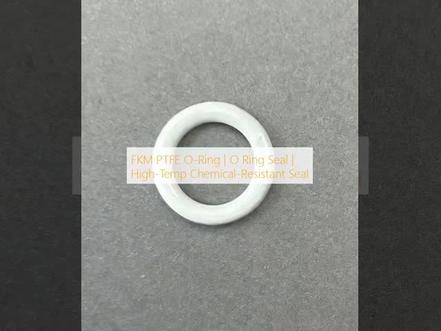 FKM PTFE O-Ring | O Ring Seal | High-Temp Chemical-Resistant Seal